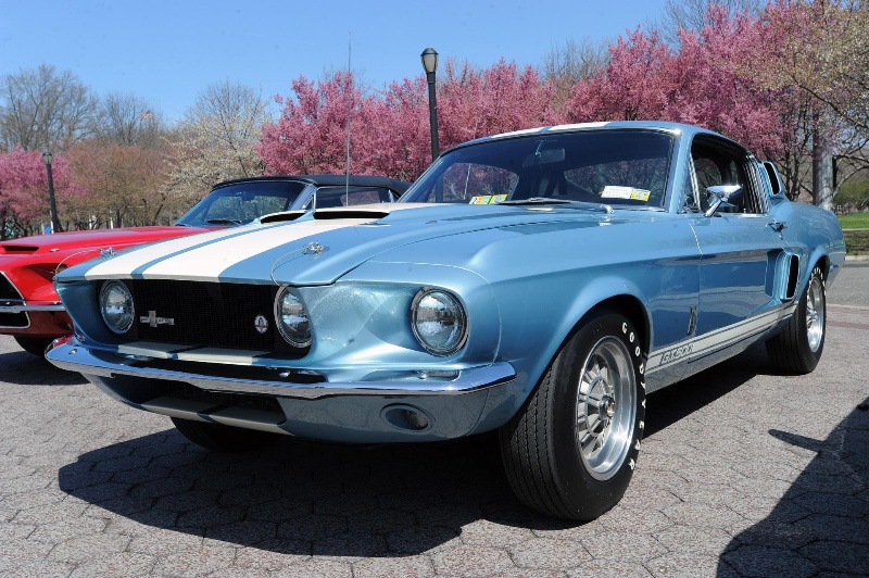 FORD MUSTANG RETURNS TO NEW YORK TO CELEBRATE 50 YEARS; 1967 SHELBY GT500 MUSTANG FASTBACK WINS BEST IN SHOW