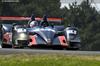 2008 Acura ARX-01B