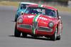 1962 Alfa Romeo Giulia image