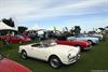 1964 Alfa Romeo Giulia Series 101 image