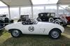 1954 Arnolt-Bristol Bolide Works Roadster by Bertone