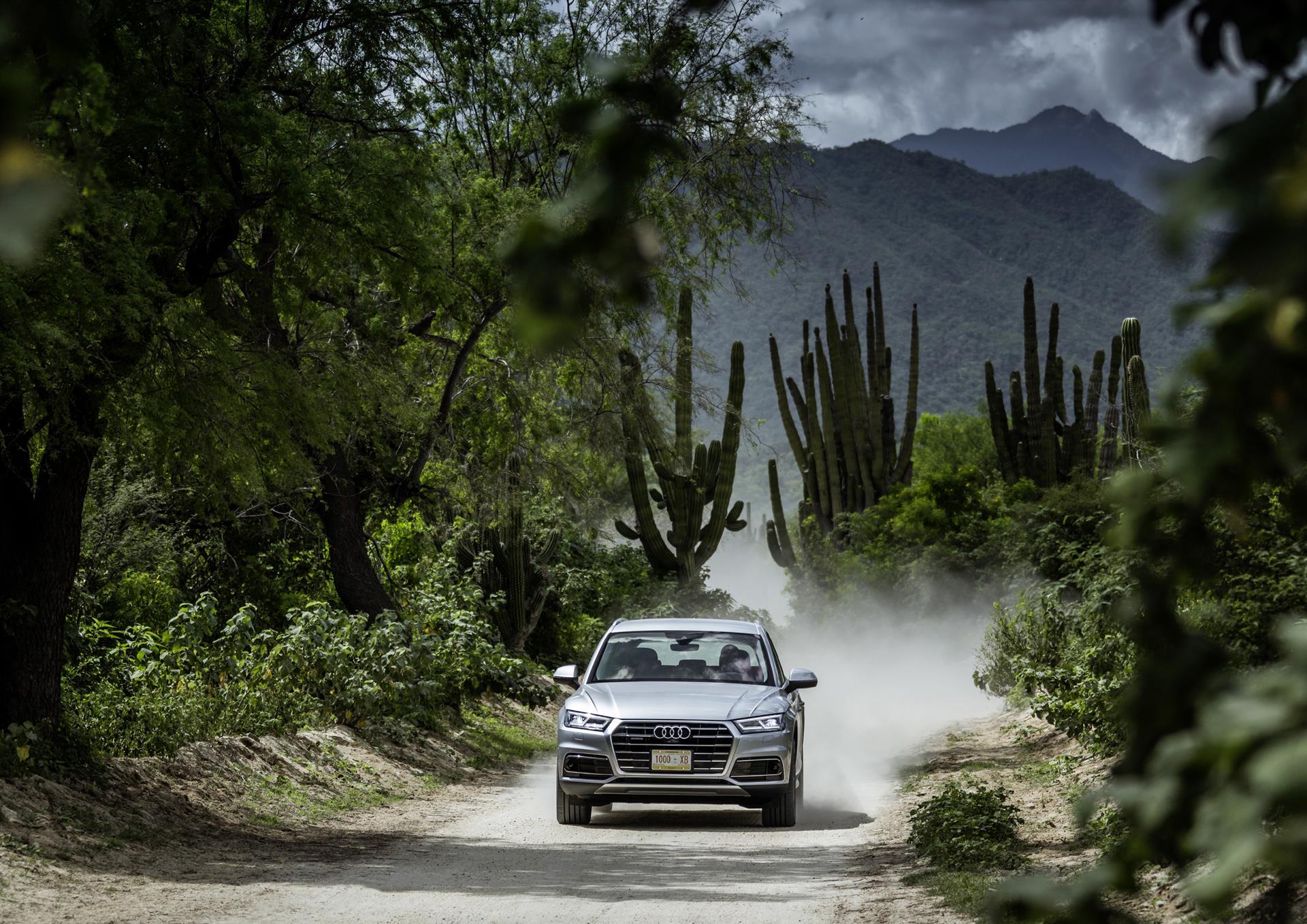 2017 Audi Q5