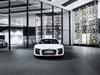 2016 Audi V10 plus selection 24h