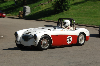 1956 Austin-Healey 100-4 BN2