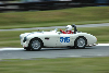 1956 Austin-Healey 100-4 BN2