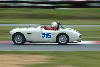 1956 Austin-Healey 100-4 BN2