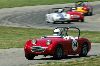 1959 Austin-Healey Sprite Mark I