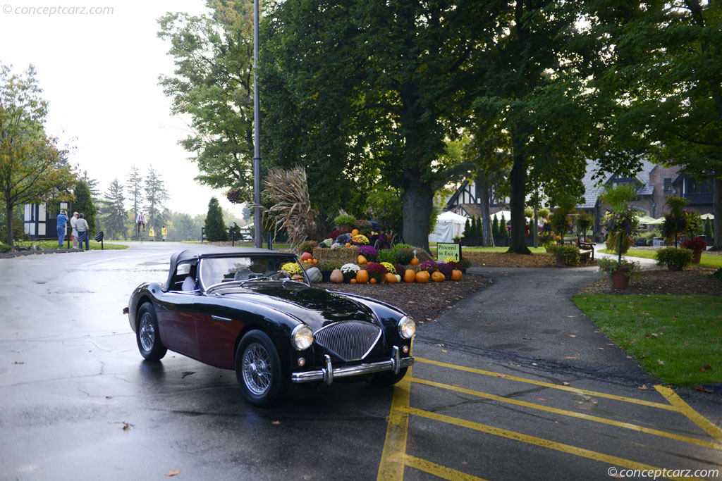 1956 Austin-Healey 100-4 BN2 background image