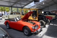 1966 Austin-Healey 3000