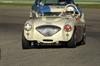 1954 Austin-Healey 100-4 BN1