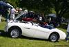 1955 Austin-Healey 100M