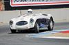 1955 Austin-Healey 100S image