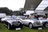 1955 Austin Healey 100-4 BN1 Custom Roadster