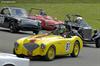 1955 Austin-Healey 100