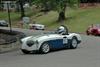 1955 Austin-Healey 100M