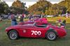 1955 Austin-Healey 100S image