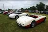 1956 Austin-Healey 100-4 BN2