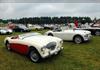 1956 Austin-Healey 100-4 BN2