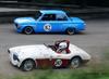 1956 Austin-Healey 100-4 BN2