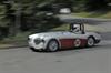 1956 Austin-Healey 100-4 BN2