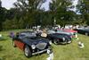 1956 Austin-Healey 100-4 BN2