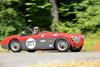 1956 Austin-Healey 100M BN2