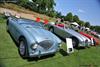 1956 Austin-Healey 100M BN2