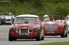 1957 Austin-Healey 100-6 image