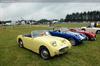 1958 Austin-Healey Sprite