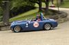 1958 Austin-Healey Sprite