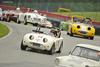 1959 Austin-Healey Sprite Mark I