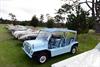 1967 Austin Mini Moke image