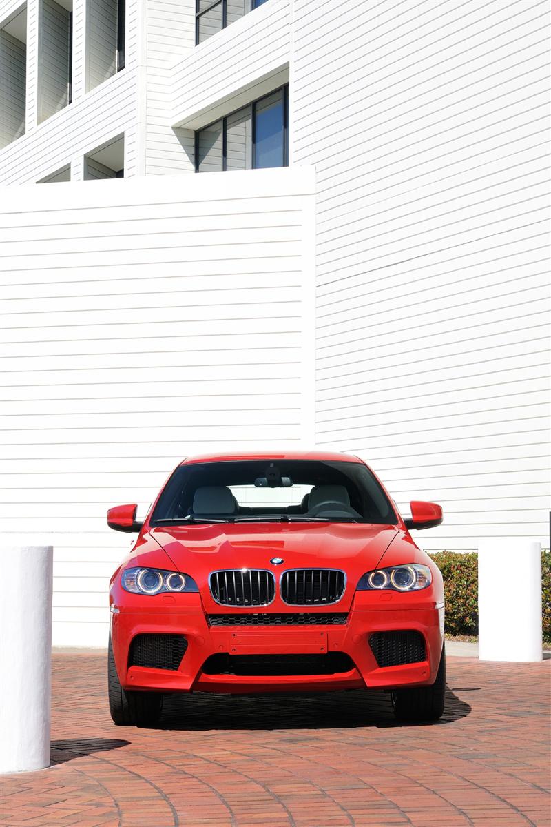 2010 BMW X6 M