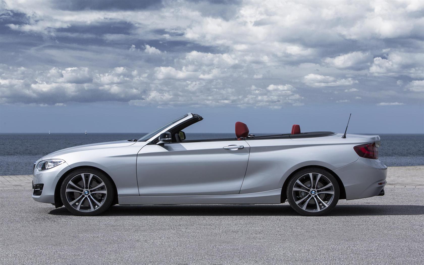 2015 BMW 2 Series Convertible