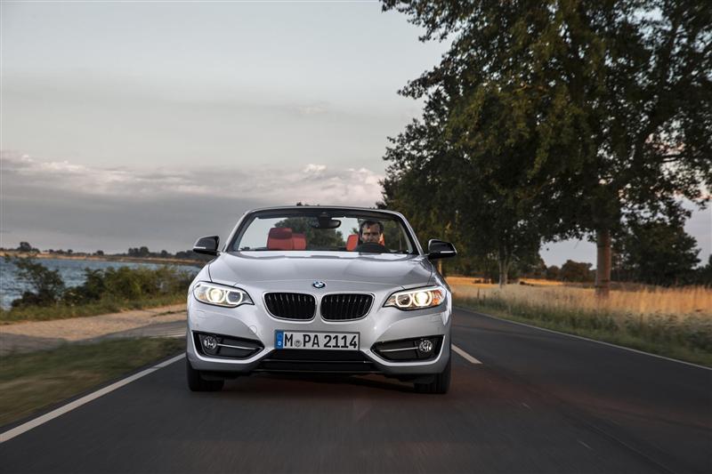 2015 BMW 2 Series Convertible