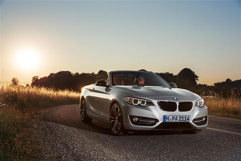 2015 BMW 2 Series Convertible