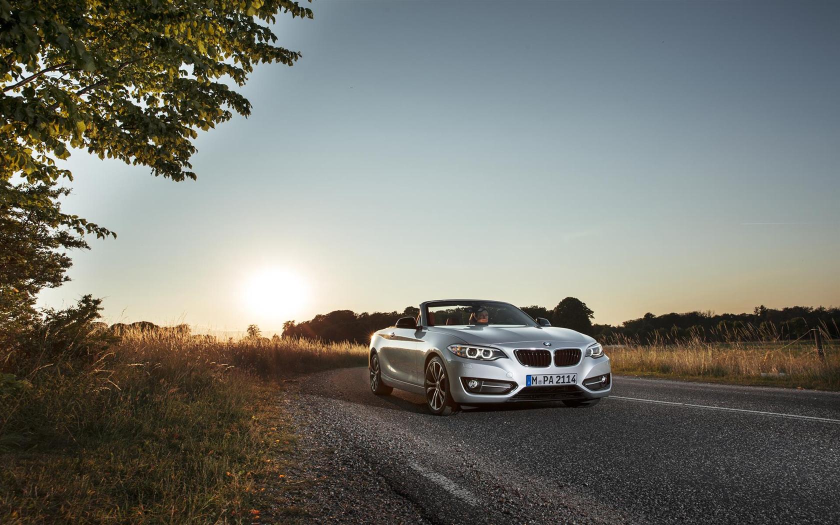 2015 BMW 2 Series Convertible