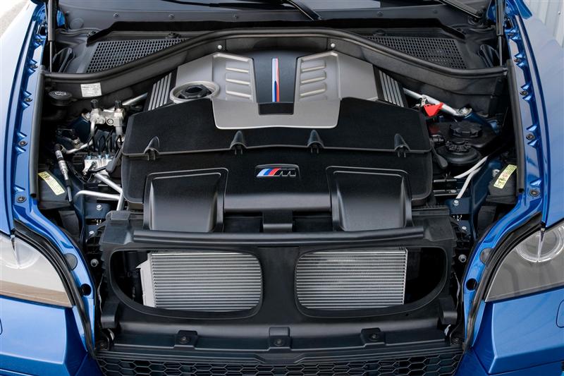 2010 BMW X5 M