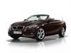 2015 BMW 2 Series Convertible