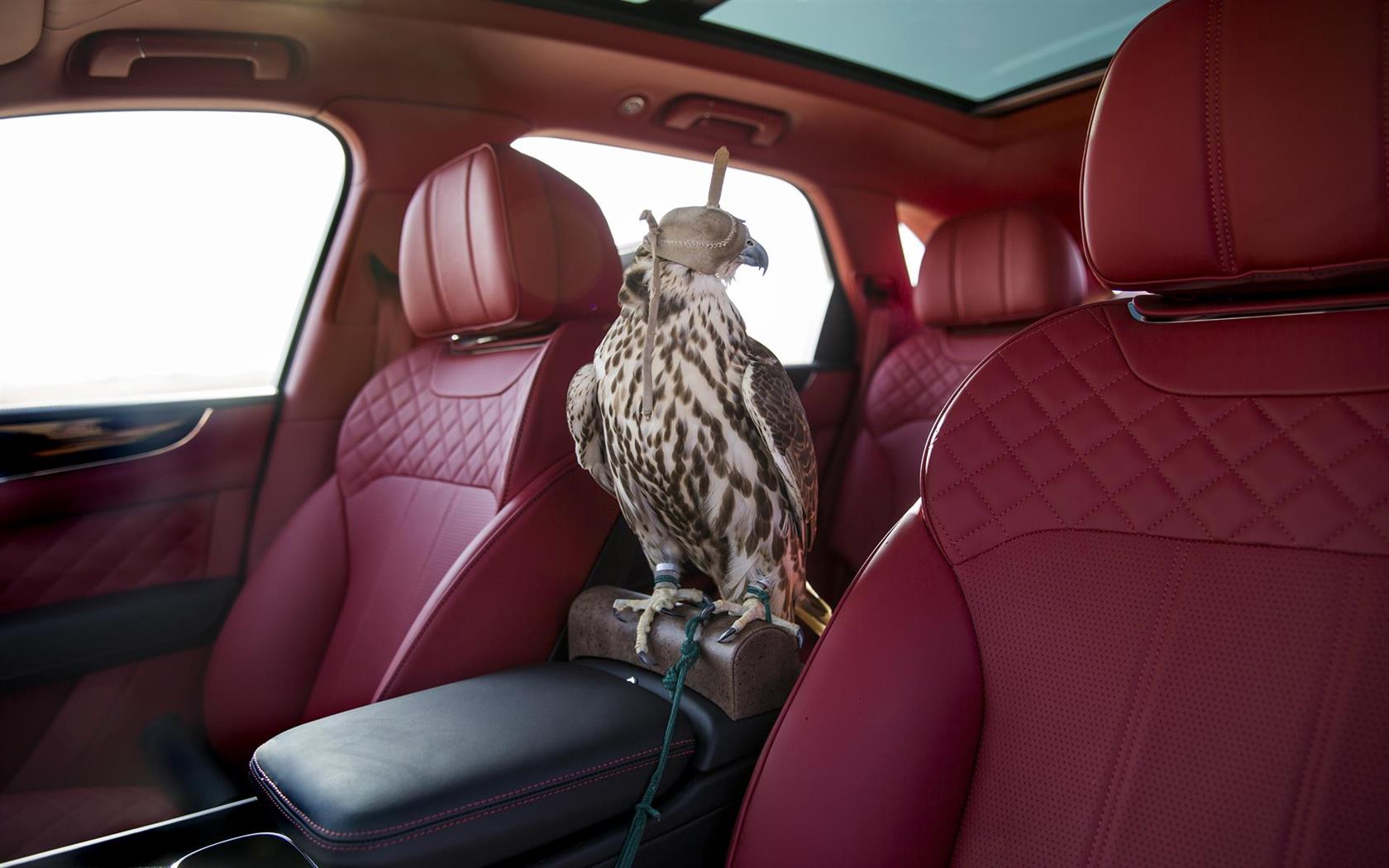 2017 Bentley Bentayga Falconry