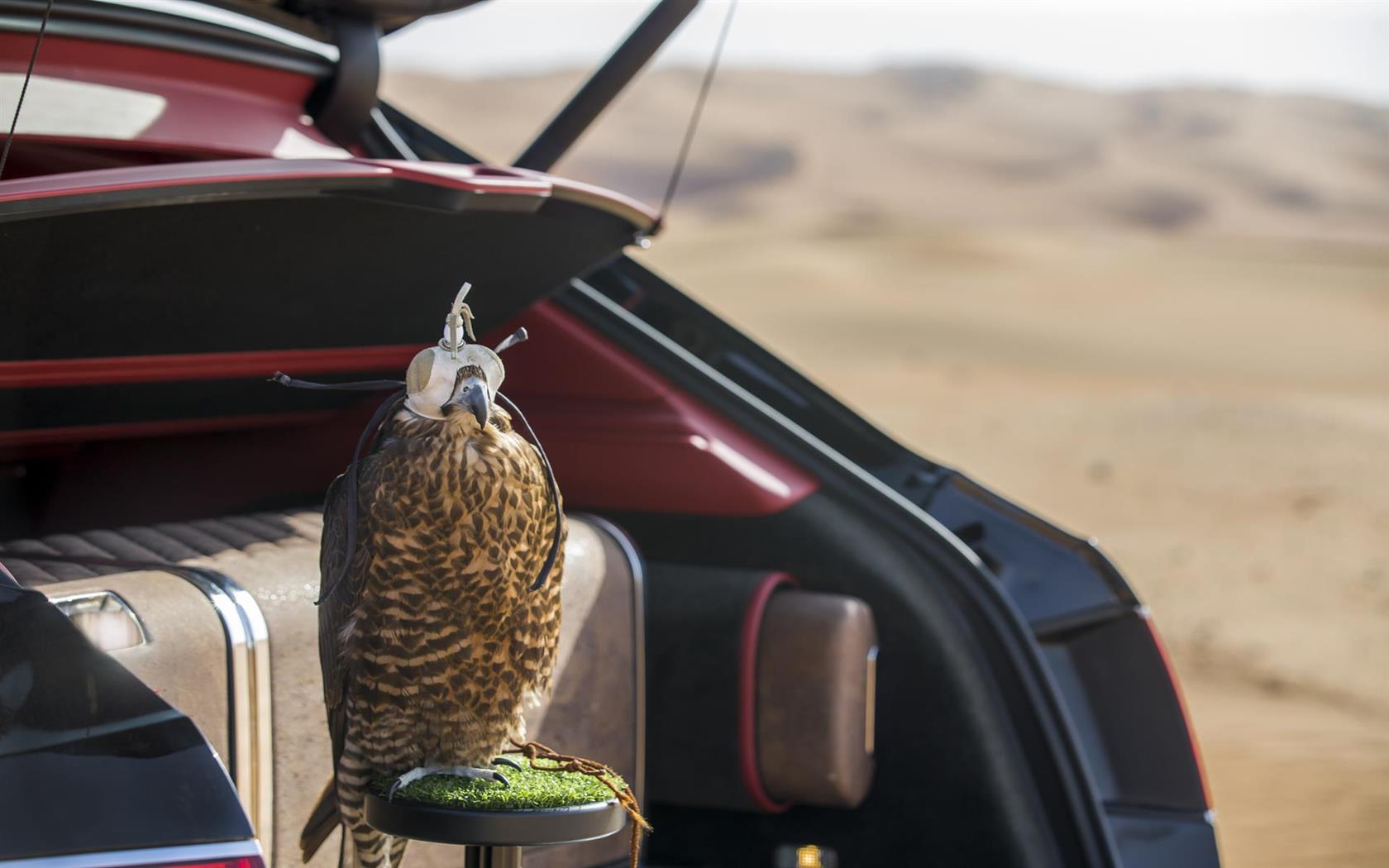 2017 Bentley Bentayga Falconry