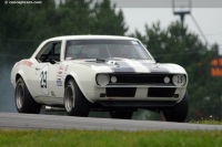 V8 Coupe