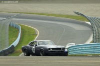 V8 Coupe
