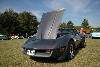 1981 Chevrolet Corvette C3 image