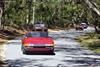 1970 Ferrari 365 GTB/4