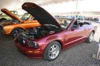 2006 Ford Mustang.  Chassis number 1ZVFT82H665147533
