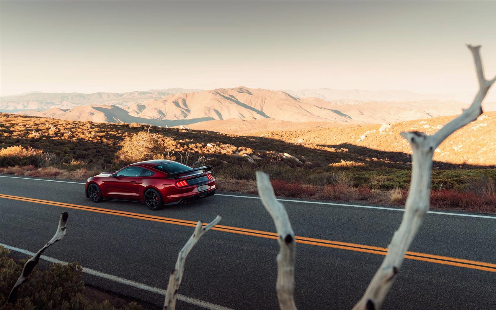 2020 Ford Mustang Shelby GT500