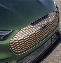 2024 Ford Mustang Mach-E GT Bronze Appearance Package