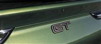 2024 Ford Mustang Mach-E GT Bronze Appearance Package