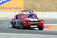 1966 Ford Shelby Mustang GT350.  Chassis number SFM6S1514